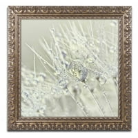 Zaštitni znak Likovna umjetnost' Dandelion Dew III ' platnena Umjetnost Cora Niele, Zlatni okićeni okvir