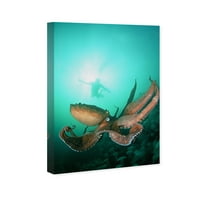 Wynwood Studio nautički i obalni zid umjetnosti platneni otisci 'divovske pacifičke hobotnice od strane morskog života Davida Fleethama - zelena, smeđa
