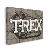 Stupell Industries T-re. Kost Tipografija Veliki dinosaur lubanje platno Zidno umjetnost, 20, Dizajn Daphne