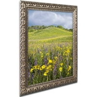 Zaštitni znak Likovna umjetnost Hillside Bloom Umjetnost platna Michaela Blanchettea fotografija Zlatni Ornate Frame
