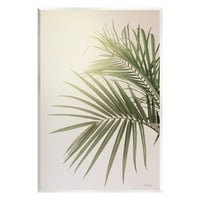 Stupell Industries minimalno palmino lišće suncem obasjano tropska kuća fotografija Neuramljena Umjetnost