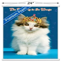 Keith Kimberlin - Kitten - Queen zidni poster sa drvenim magnetskim okvirom, 22.375 34