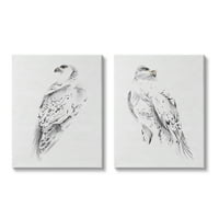 Stupell Industries White Hawk Zimske ptice Mekane perje, 20, Dizajn Melissa Wang