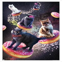 James Booker - Galaxy svemirske mačke jahanje krofne zidni poster, 14.725 22.375 Uramljeno