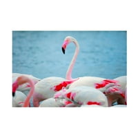Ben Heine 'Flamboyant of Flamingos 4' Canvas Art