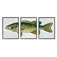 Stupell Lake House Bass Fish Wildlife Životinje i insekti Slikarstvo Crna UKLJUČENA Art Print Wall Art,