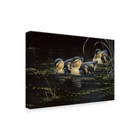Zaštitni znak likovne umjetnosti' patke patke ' platnena Umjetnost Wilhelma Goebela
