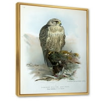Designart' Ancient Bird Life V ' Tradicionalni Uramljeni Platneni Zidni Umjetnički Print
