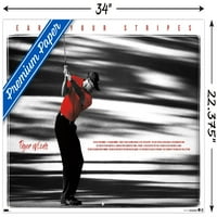 Tiger Woods - Zaradite svoje pruge 34 22.37 poster