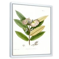 Drevni Cvjetajući cvijet II uokvirena slika na platnu Art Print