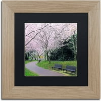 Zaštitni znak Likovna umjetnost Spring Path platno Art by CATeyes, crna mat, breza okvir