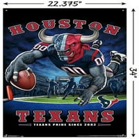 Houston Texans - Zidni poster krajnje zone sa push igle, 22.375 34