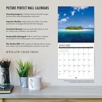 Willow Creek Press Dolphins Zidni Kalendar