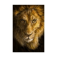 Zaštitni znak likovne umjetnosti' ilustracija lavova ' platnena Umjetnost Patricka Lamontagnea