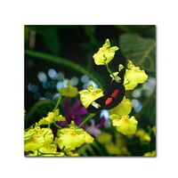 Zaštitni znak Likovna umjetnost Doris Longwing leptir na orhideji umjetnost na platnu Kurta Shaffera