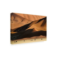 Muriel Vekemans 'Namib Dune' platnena umjetnost