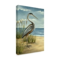 Zaštitni znak likovne umjetnosti' Shore Bird I ' platnena Umjetnost Ethana Harpera