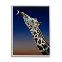 Stupell Industries žirafa ljubi mjesec noćni Zalazak sunca lijepa portret grafička Umjetnost siva uokvirena
