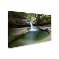 Zaštitni znak Likovna umjetnost 'Sabbaday Green Pool' Canvas umjetnost Michael Blanchette fotografija