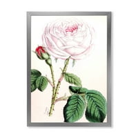 DESIMANT Drevni ružičasti cvijet tradicionalni uokvireni umjetnički print
