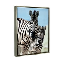Stupell Industries uzdizanje Zebra Family Matično dijete Savanna Životinje Fotografija Lustera siva plutajući uokvireni platneni ispis zidne umjetnosti, dizajn Danita Delimant