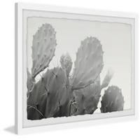 Marmont Hill Sivi kaktus uokviren zid umjetnost, 12,00 1,50