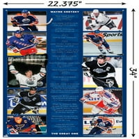 Wayne Gretzky - Stats zidni poster sa push igle, 22.375 34