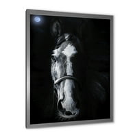 Portret konja zureći zlokobno uokvirena fotografija platno Art Print