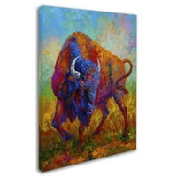 Zaštitni znak likovne umjetnosti 'Bison Bull 1' umjetnost na platnu Marion Rose