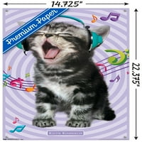 Keith Kimberlin - Kitten - pjevački zidni poster sa push igle, 14.725 22.375