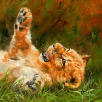 Lion Cub na travi poster Print David Stribbling