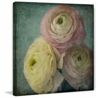 Pink Ranunculus Vintage Slikanje Ispis na zamotanom platnu